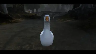 《上古卷轴5：天际重制版》MOD|更准确的农场鹅|下载