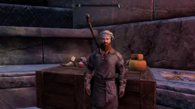 《上古卷轴5：天际重制版》MOD|简单的食品系统|下载