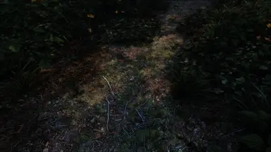 《上古卷轴5:天际重制版》MOD|北部道路|下载