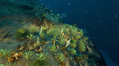 《深海迷航》MOD|更多子生物群落|下载