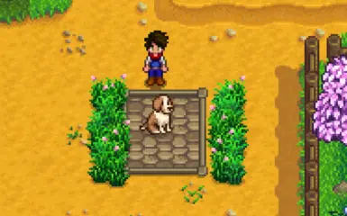 《星露谷物语》MOD|大麦史宾格犬|下载