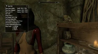 《上古卷轴5：天际重制版》游戏信息窗口MOD