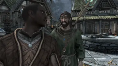 《上古卷轴5：天际重制版》冻结法术MOD