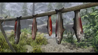 《上古卷轴5:天际重制版》MOD|悬挂的死鲑鱼替代品|下载