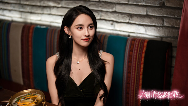 《导演，请多多指教》游戏库