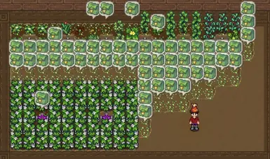 《星露谷物语》MOD|农作物种植提醒|下载