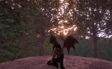 《上古卷轴4：湮灭重制版》MOD|宇宙运动|下载