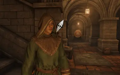 《上古卷轴4：湮灭重制版》MOD|花式绿色长袍|下载