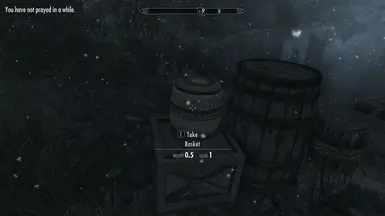 《上古卷轴5：天际重制版》MOD|装满的篮子|下载