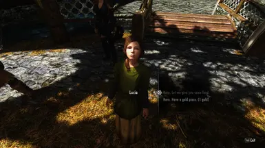 《上古卷轴5:天际重制版》给乞丐食物MOD