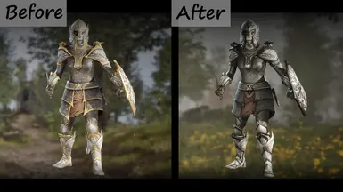 《上古卷轴4：湮灭重制版》秘银黑镶边原皮MOD