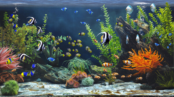 《Zen Aquarium》官方版