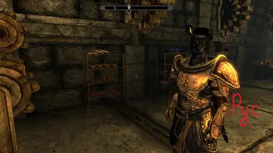 《上古卷轴5：天际重制版》MOD|马德的工作室罗斯|下载