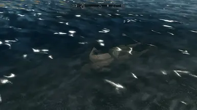 《上古卷轴5：天际重制版》沉没的尸体MOD