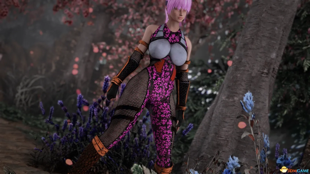 《上古卷轴5：天际重制版》MOD|绫音深山之花套装|