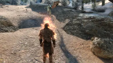 《上古卷轴5：：天际重制版》MOD|女龙祭司|