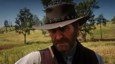 《荒野大镖客2》MOD|亚瑟的经典帽子|