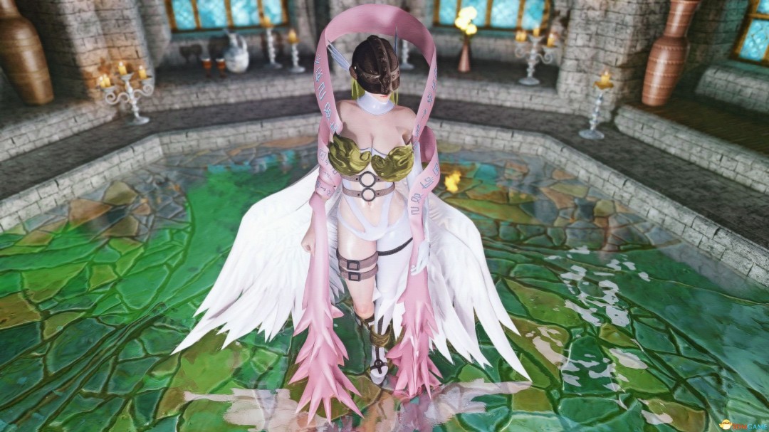 《上古卷轴5：天际重制版》MOD|数码暴龙天女兽套装|