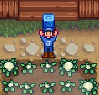 《星露谷物语》MOD|生长肥料|