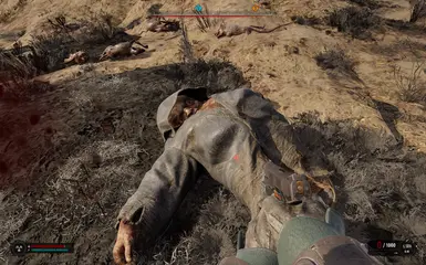 《潜行者2：切尔诺贝利之心》MOD|生成池已解锁|