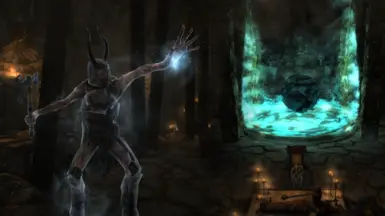 《上古卷轴5：天际重制版》没有临冬要塞的文字墙MOD