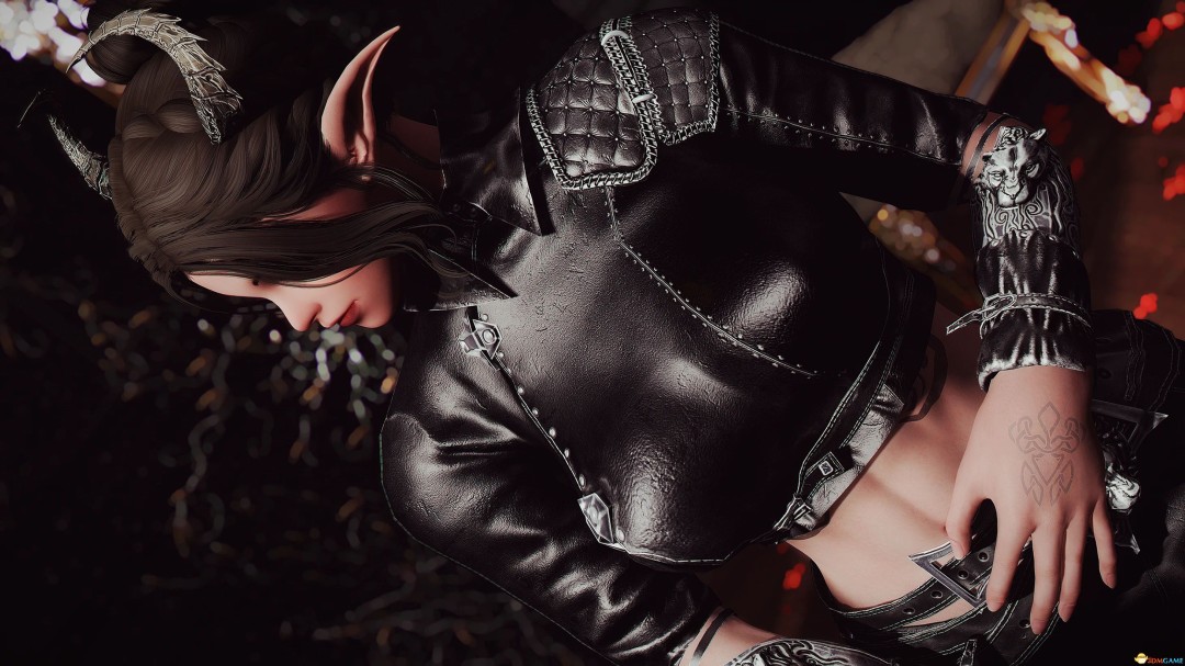 《上古卷轴5：天际重制版》MOD|蝎狮套装|