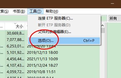 Everything怎么设置包含到数据库