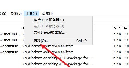 Everything如何设置双击路径打开文件夹