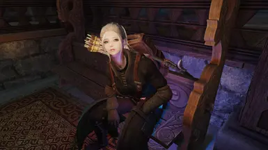 《上古卷轴5：天际重制版》MOD|更多为奥里的箭|