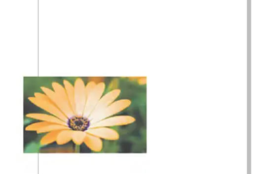 coreldraw怎么自动调整位图