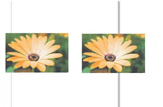 coreldraw怎么自动调整位图