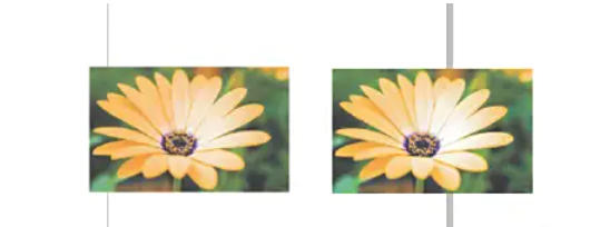 coreldraw怎么自动调整位图