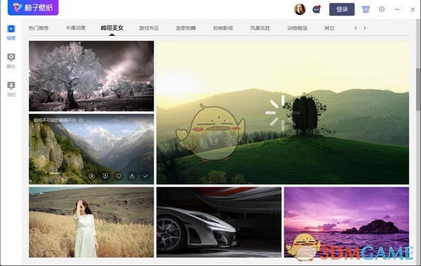 柚子壁纸官方版