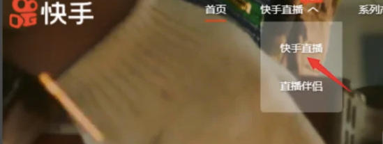 快手电脑版怎么看直播回放