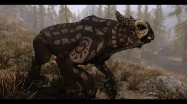 《上古卷轴5:天际重制版》MOD|猫头鹰熊|