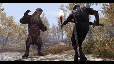 《上古卷轴5:天际重制版》MOD|猫头鹰熊|