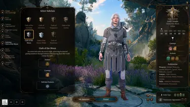 《博德之门3》月之誓言圣骑士子职业MOD