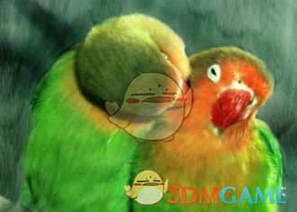 Corel Painter官方版