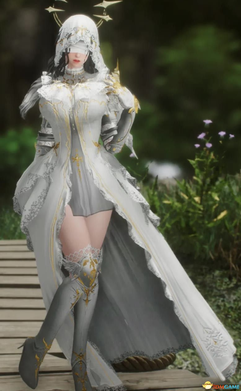 《上古卷轴5：天际重制版》MOD|失落方舟女武神传奇套装|