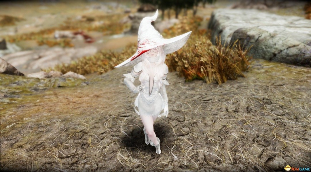 《上古卷轴5:天际重制版》MOD|女巫女随从怀|