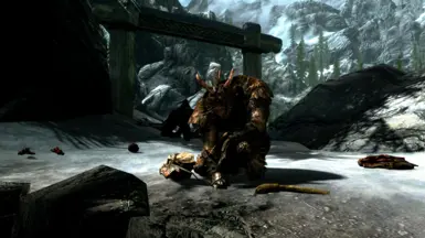 《上古卷轴5：天际重制版》天际的同伴MOD