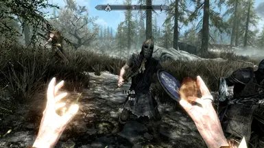 《上古卷轴5：天际重制版》追随者罗斯MOD