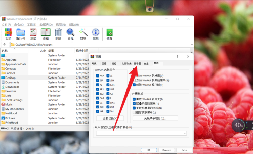 WinRAR怎么设置查看器类型