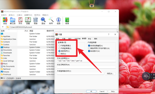 WinRAR怎么设置查看器类型