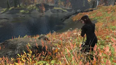 《上古卷轴5：天际重制版》幻术法剑追随者和NPCMOD