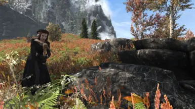 《上古卷轴5：天际重制版》幻术法剑追随者和NPCMOD