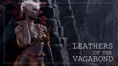 《博德之门3》MOD|流浪者的皮革|