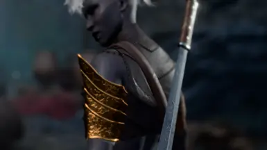 《博德之门3》MOD|流浪者的皮革|