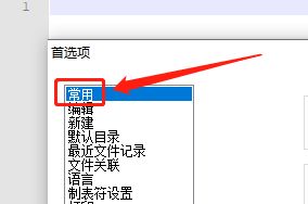 Notepad++如何显示文件列表面板