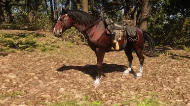 《荒野大镖客2》魔鬼花园野马背包MOD